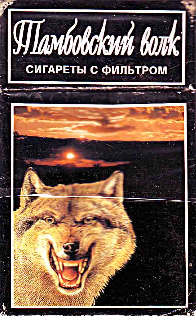 Тамбовский волк 95. Тамбовский волк сигареты. Тамбовский волк сигареты СССР. Волк с сигаретой. Пачка сигарет Тамбовский волк.